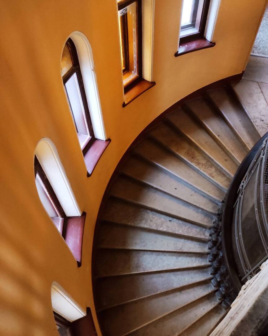 Парадная ромашка в бывшем доходном доме купца Г.Г. Елисеева. г. Санкт-Петербург