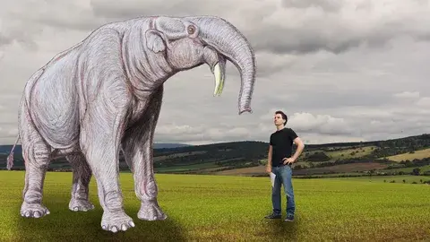 Парацератерий: гигант древнего мира.