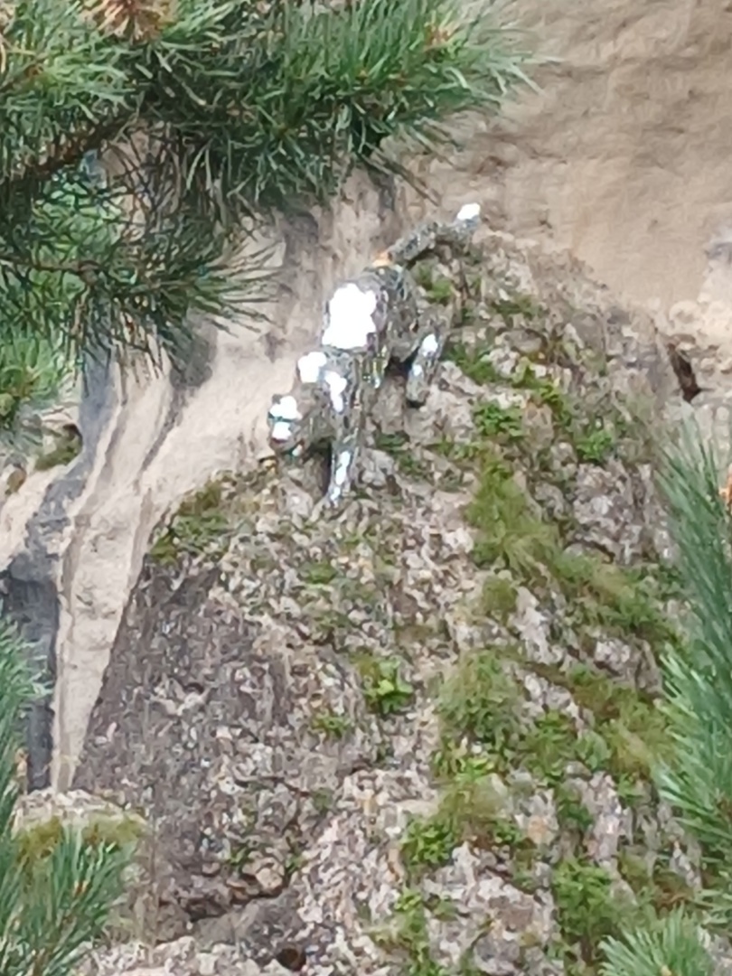 Путешествие во Владикавказ: погружение в культуру Северной Осетии