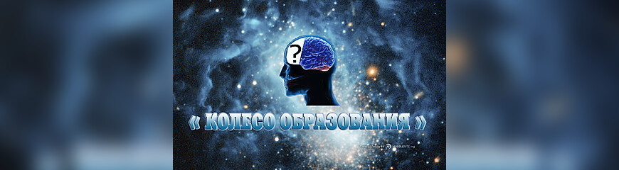 "Колесо образования"