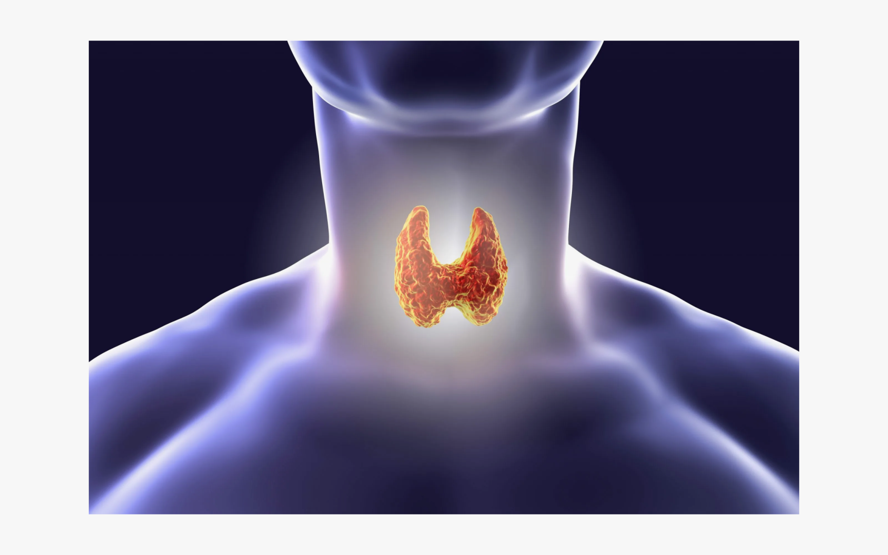 Поддержание здоровья щитовидной железы