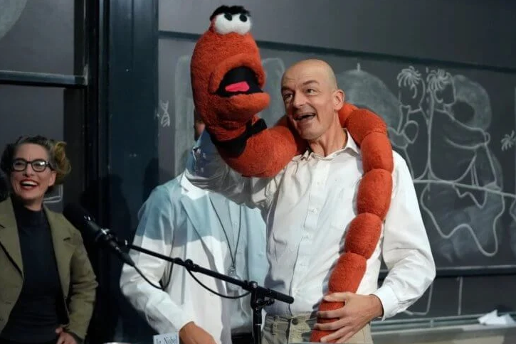 💥За разделения пьяных и трезвых червяков. Кто и за что получил Шнобелевскую премию в 2024 году?😇