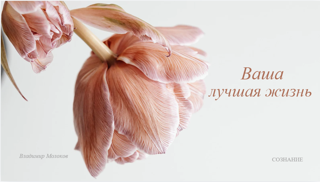 Ваша лучшая жизнь