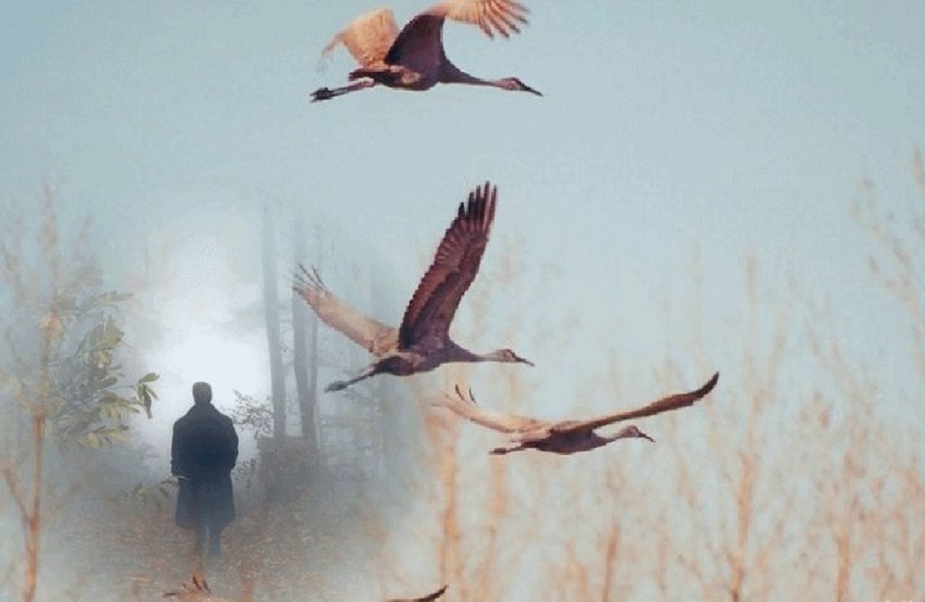 Стелются над озером туманы...