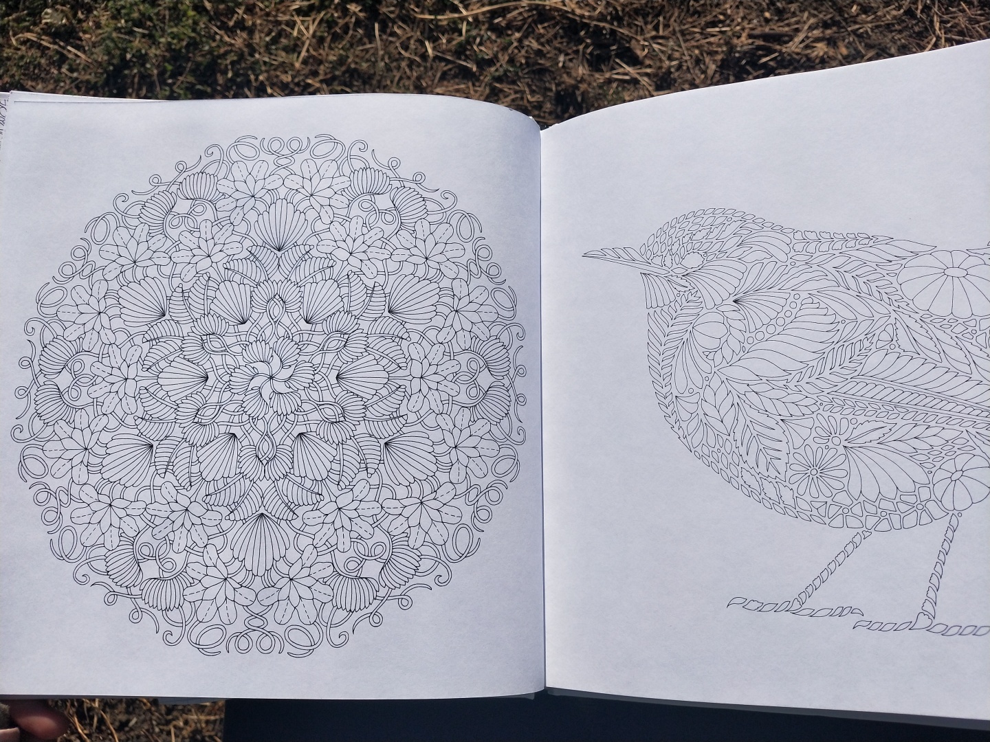 Люблю стиль этой художницы 👩🎨 прекрасная раскраска-антистресс, для тех кто любит детали 🖼️🎨