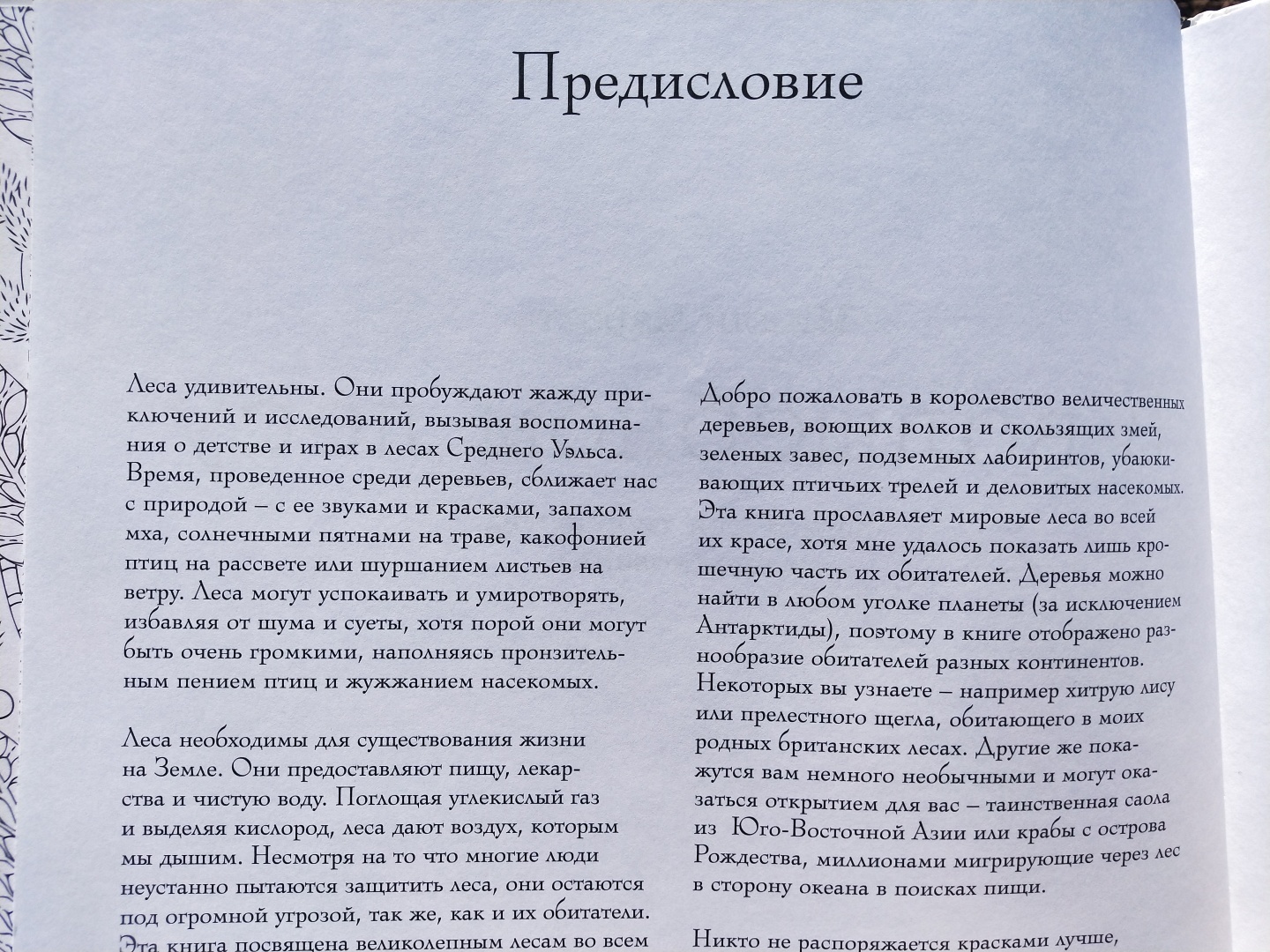 Люблю стиль этой художницы 👩🎨 прекрасная раскраска-антистресс, для тех кто любит детали 🖼️🎨