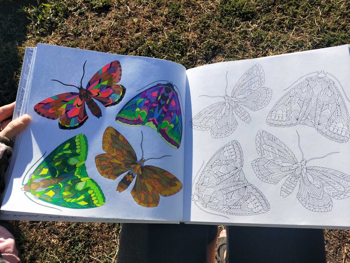 Люблю стиль этой художницы 👩🎨 прекрасная раскраска-антистресс, для тех кто любит детали 🖼️🎨