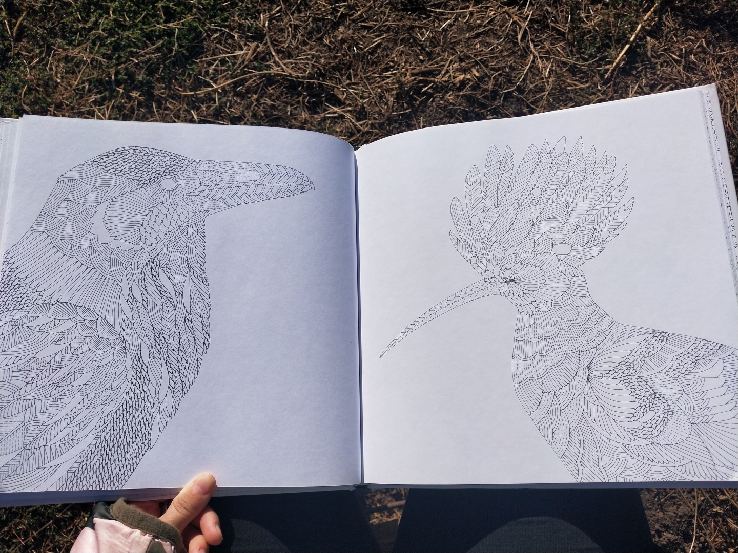 Люблю стиль этой художницы 👩🎨 прекрасная раскраска-антистресс, для тех кто любит детали 🖼️🎨