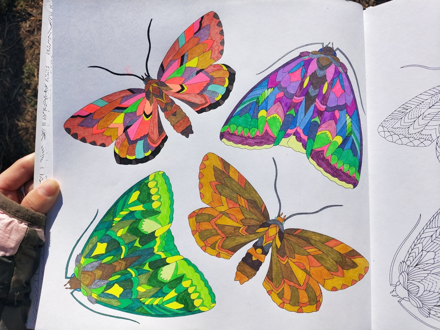 Люблю стиль этой художницы 👩🎨 прекрасная раскраска-антистресс, для тех кто любит детали 🖼️🎨