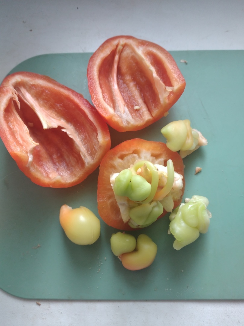 Феноменальное проявление жизни в природе.