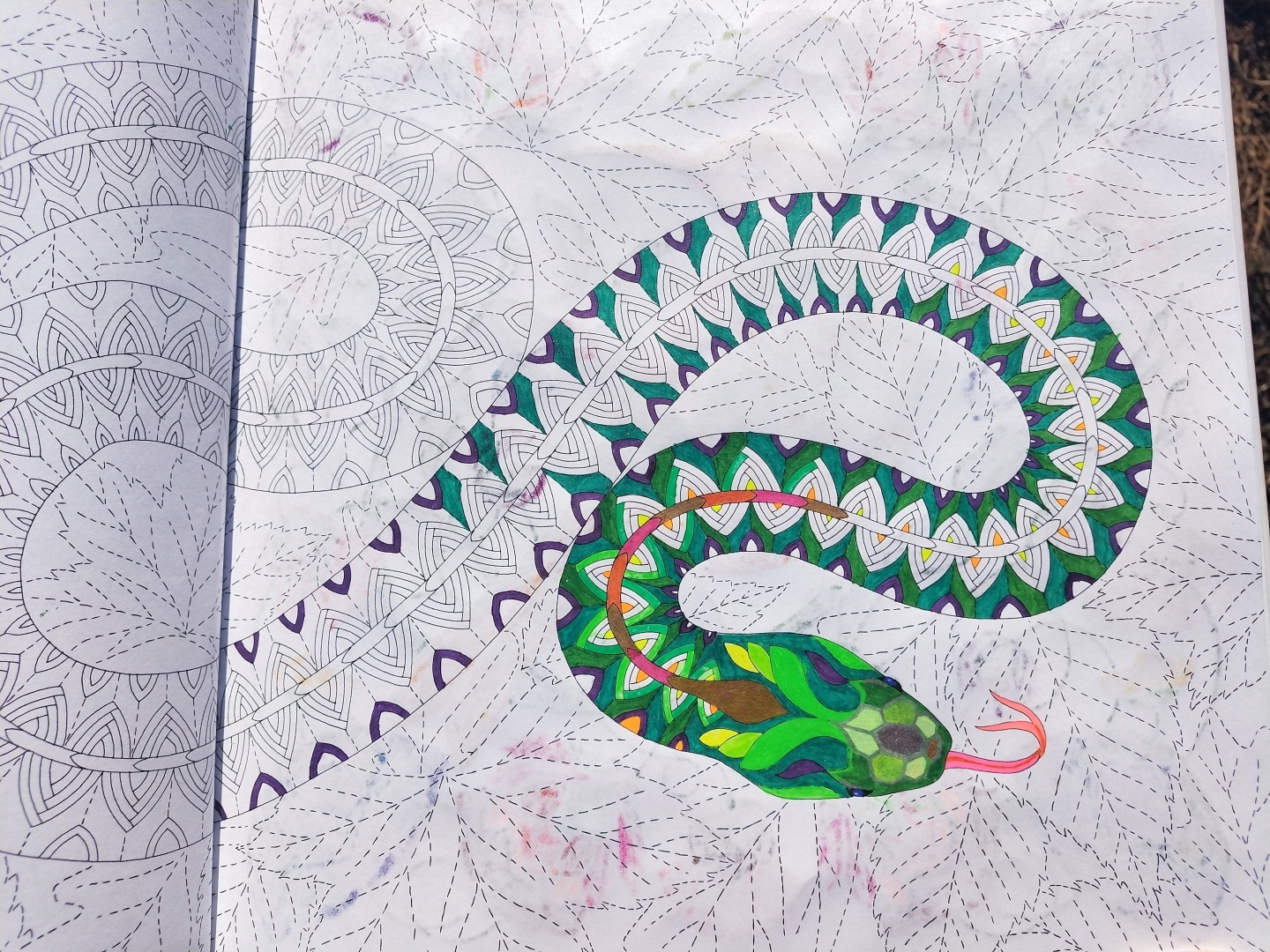 Люблю стиль этой художницы 👩🎨 прекрасная раскраска-антистресс, для тех кто любит детали 🖼️🎨