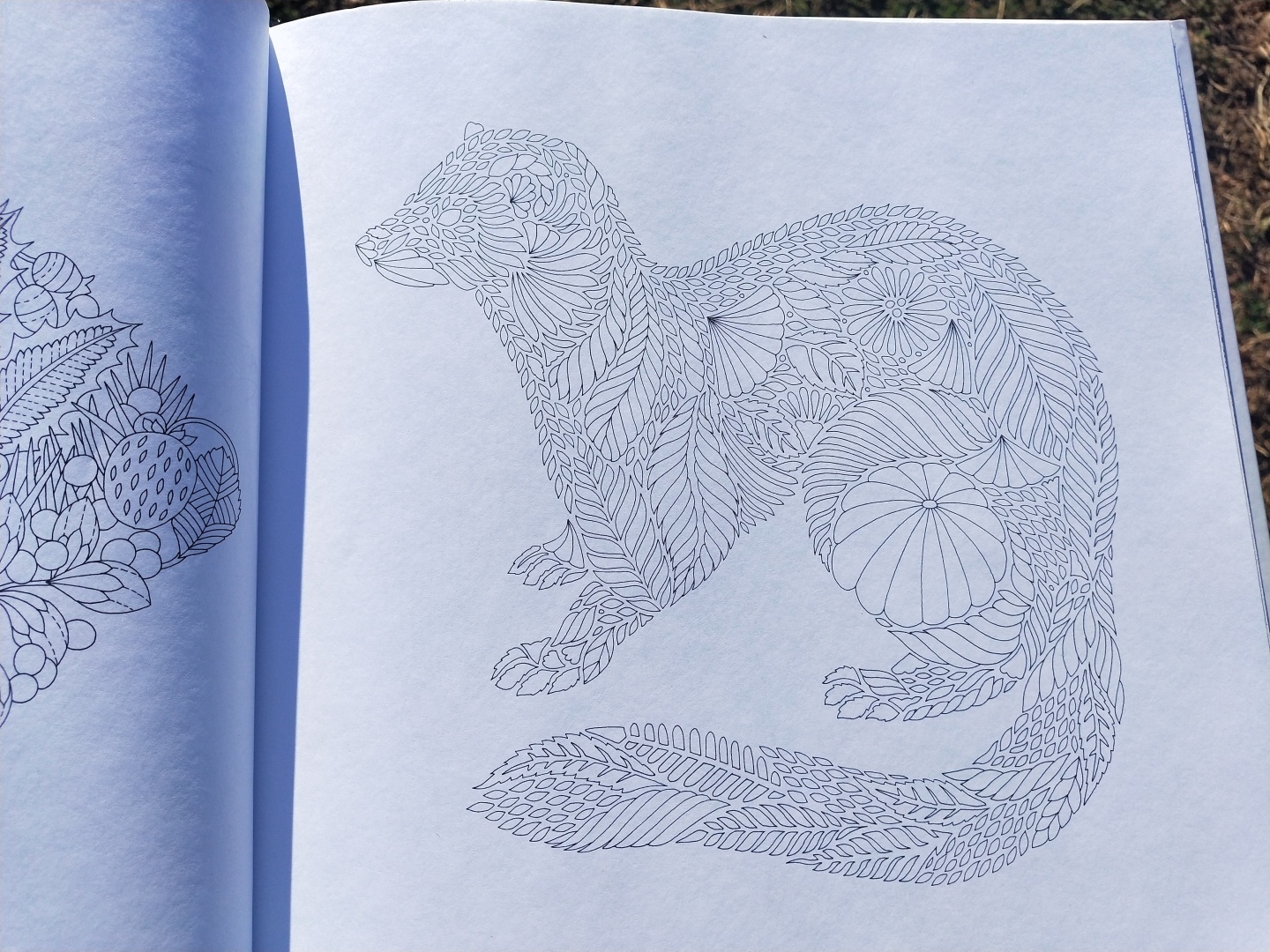 Люблю стиль этой художницы 👩🎨 прекрасная раскраска-антистресс, для тех кто любит детали 🖼️🎨