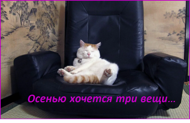 ✔️Сохранила статус самой богатой женщины. Состояние Бакальчук сократилось почти в 2 раза после сделки Wildberries с Russ✍️