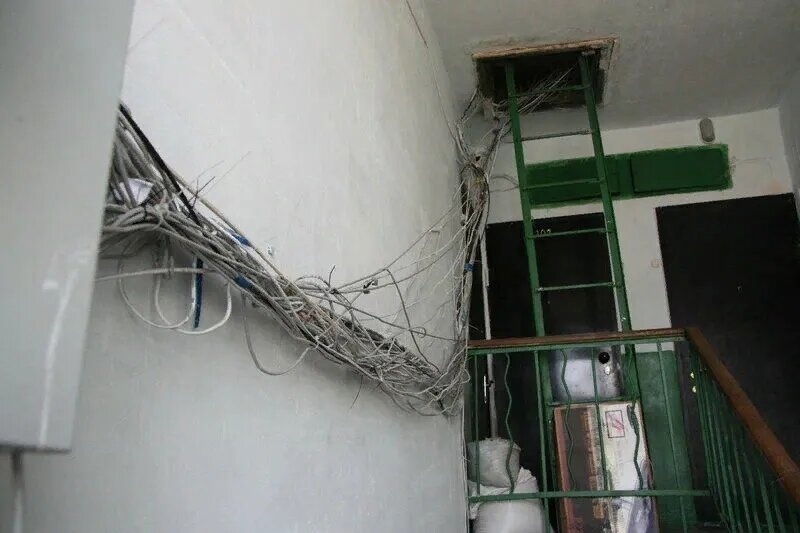 Соседка заботится о бездомных кошках, но это мешает жильцам: как быть? Вопрос из моей личной консультации юриста