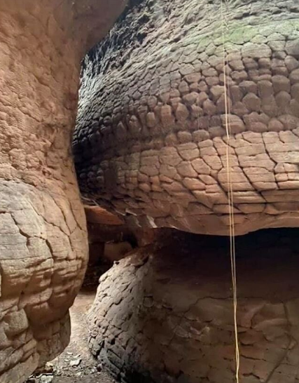 Гигантская окаменелость в виде змеи "Нака"