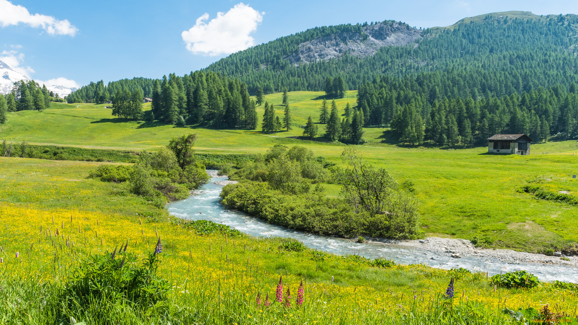 Почему в Сибири намного лучше центральных регионов? Несколько причин!