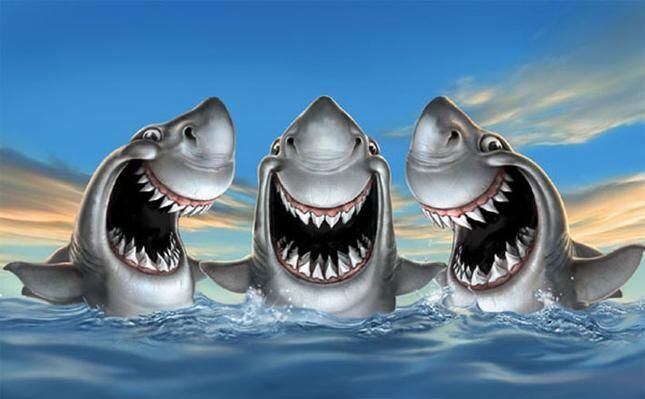 Акулы: Опасность с первого дня жизни.