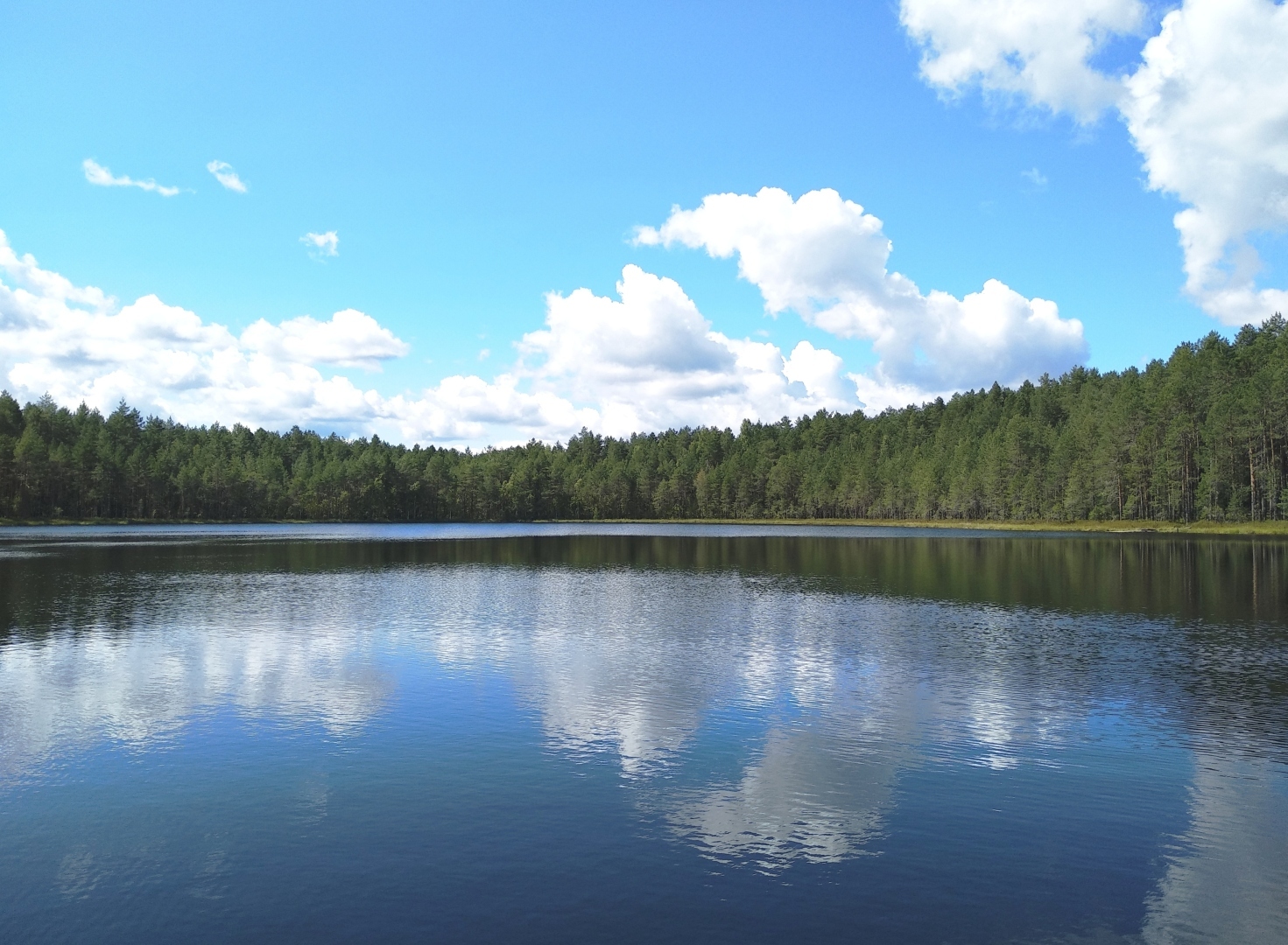 Как я побывала в глухой деревне, что меня там больше всего удивило
