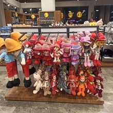 Александор, г. Архангельск