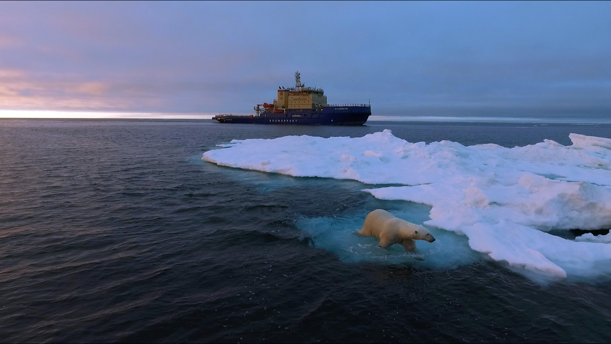 Самые холодные моря в России: какой смысл на них отдыхать?