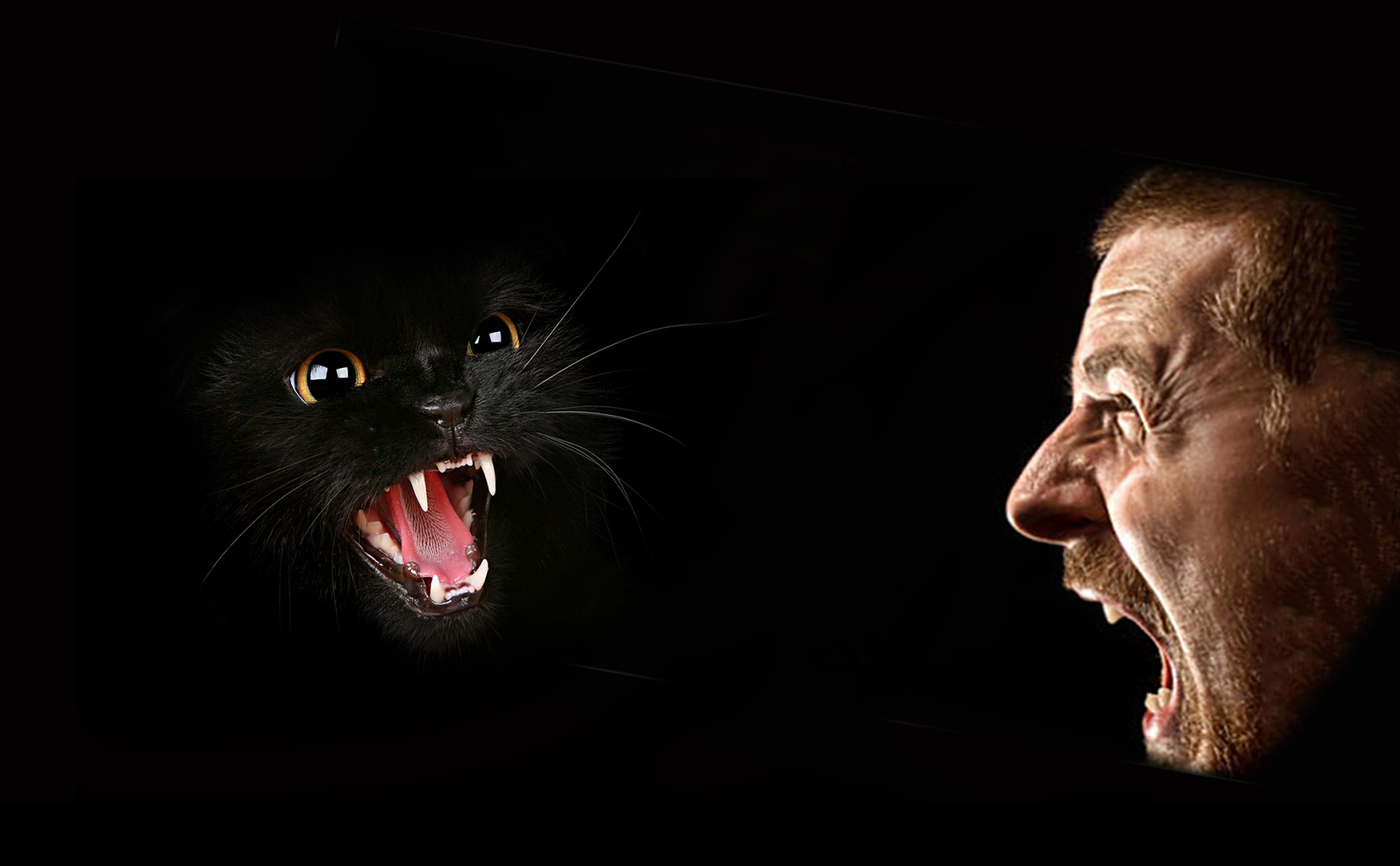 Об исследованиях души Роберта Монро и о моих собственных опытах. Или жизнь сознания человека после его смерти - реально существует!