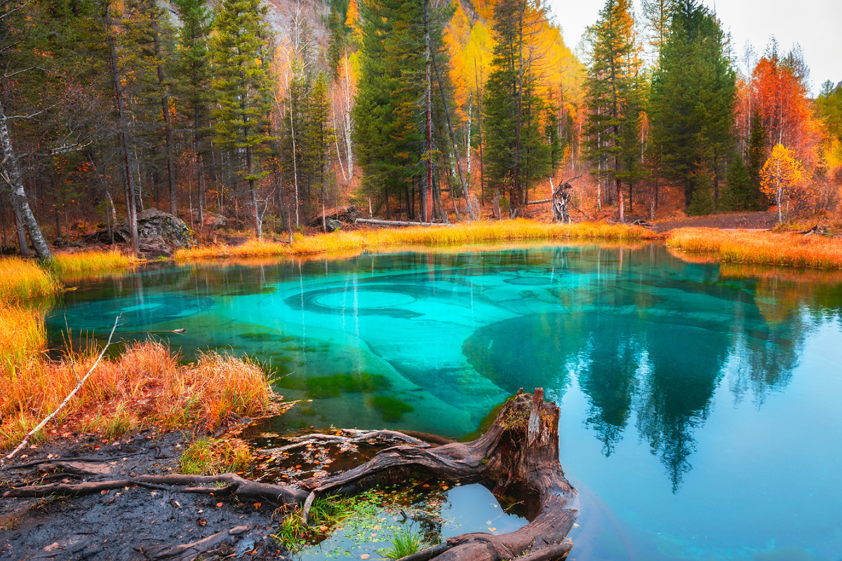 5 сказочных мест Алтая, которые нужно увидеть