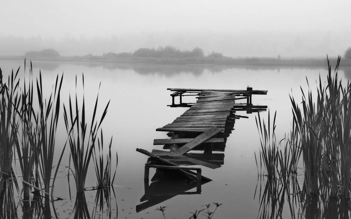 Ю.Д.О (Юность, Детство, Отрочество) "Болота, катамараны и очевидная ложь"