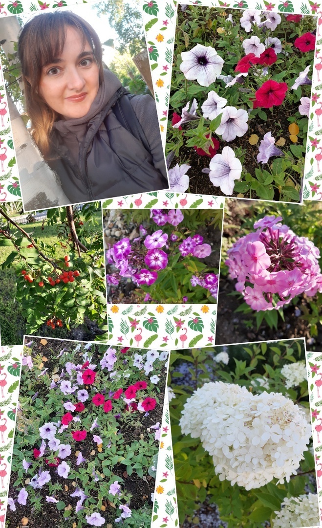 Нам запретили сажать цветы и кустарники около многоквартирного дома: это правомерно?