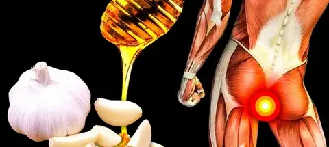 Пил чеснок с медом утром: вот что вышло через 7 дней употребления! Народные рецепты и их полезные свойства