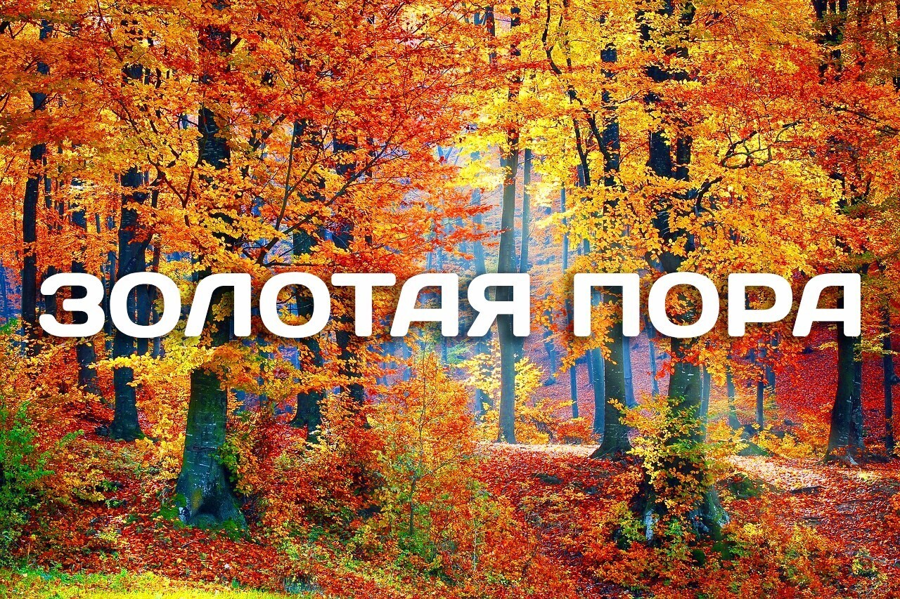 Осень, которую нужно почувствовать