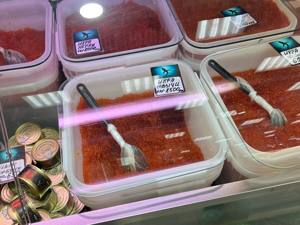 Камчатка переоценена, и у меня на это пять причин