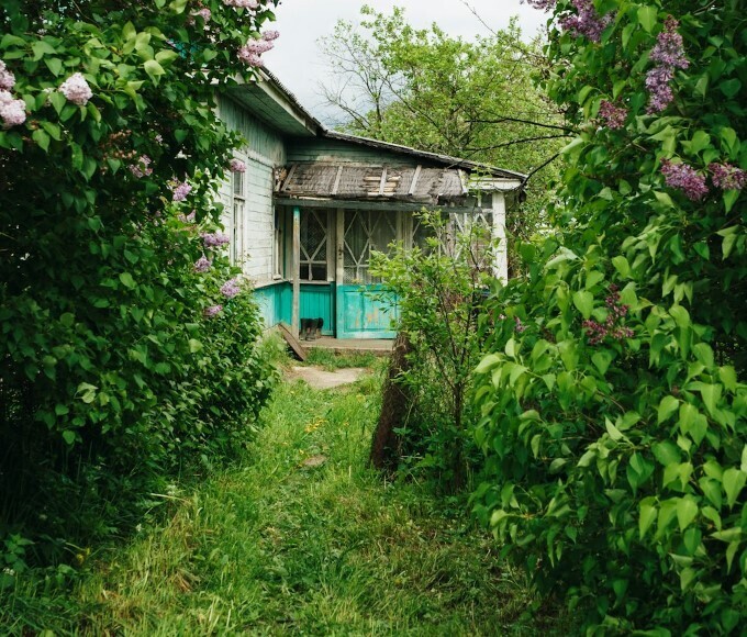 История из практики: Кот раздора. Неудачная подмена и претензия на 500 000