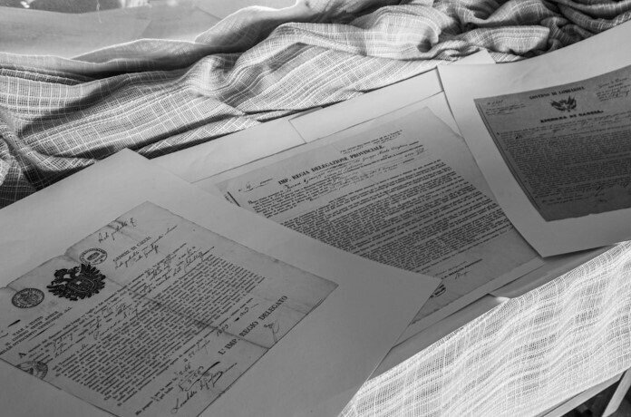 История из практики: Кот раздора. Неудачная подмена и претензия на 500 000