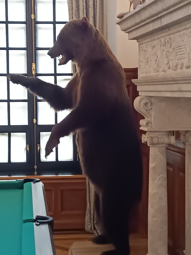 Мирский (рыцарский) и Несвижский замки, которыми владели Радзевиллы в XVI-XVIII веках. Мой третий культурный день в Беларуси. Часть 2