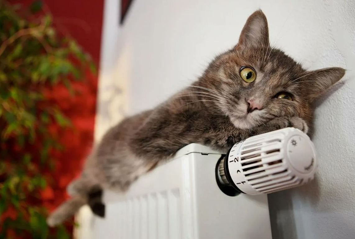 Отопительный сезон 2024: когда должны включать отопление в домах, какая должна быть температура, что нового в законах?