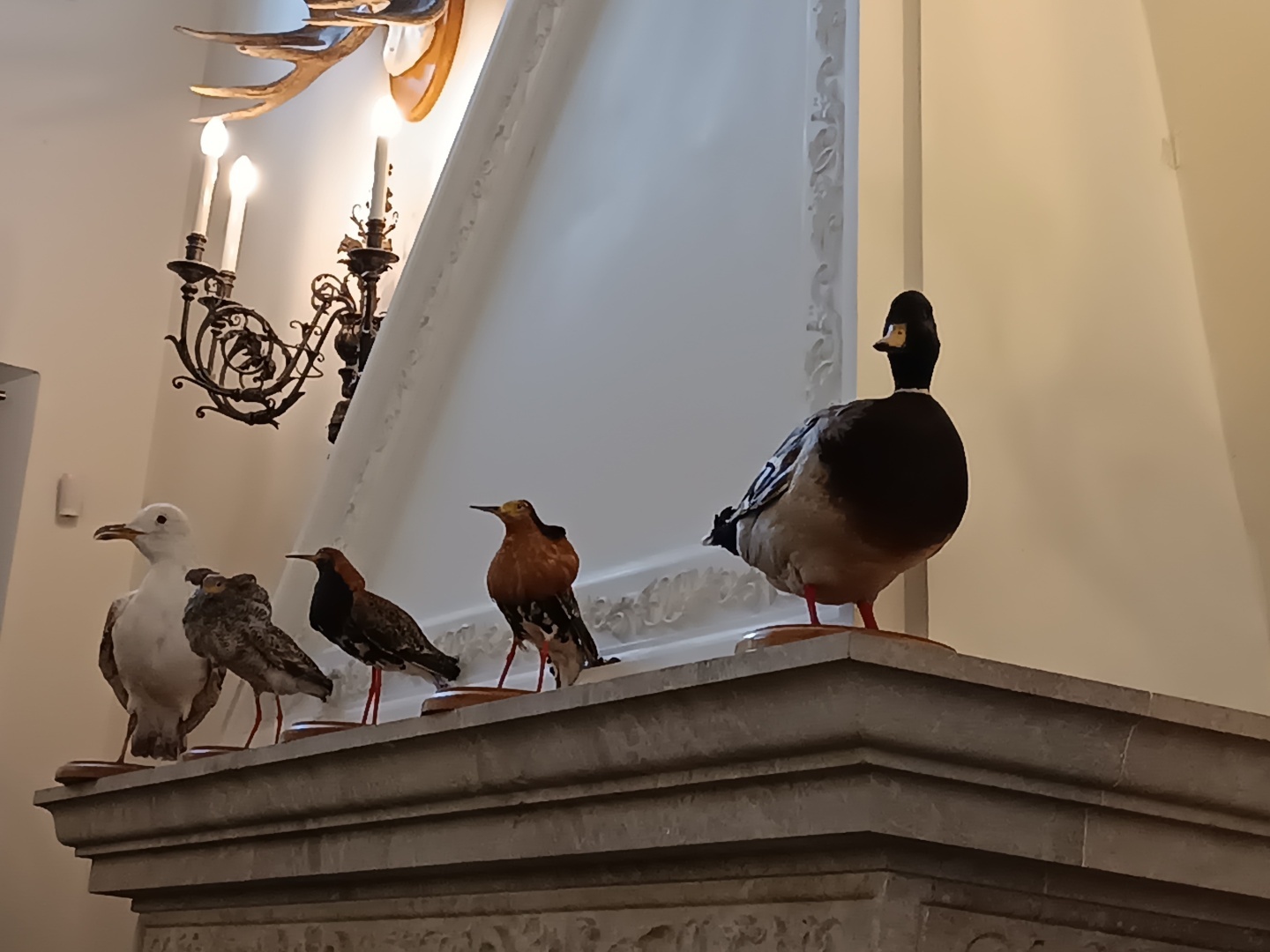 Мирский (рыцарский) и Несвижский замки, которыми владели Радзевиллы в XVI-XVIII веках. Мой третий культурный день в Беларуси. Часть 2