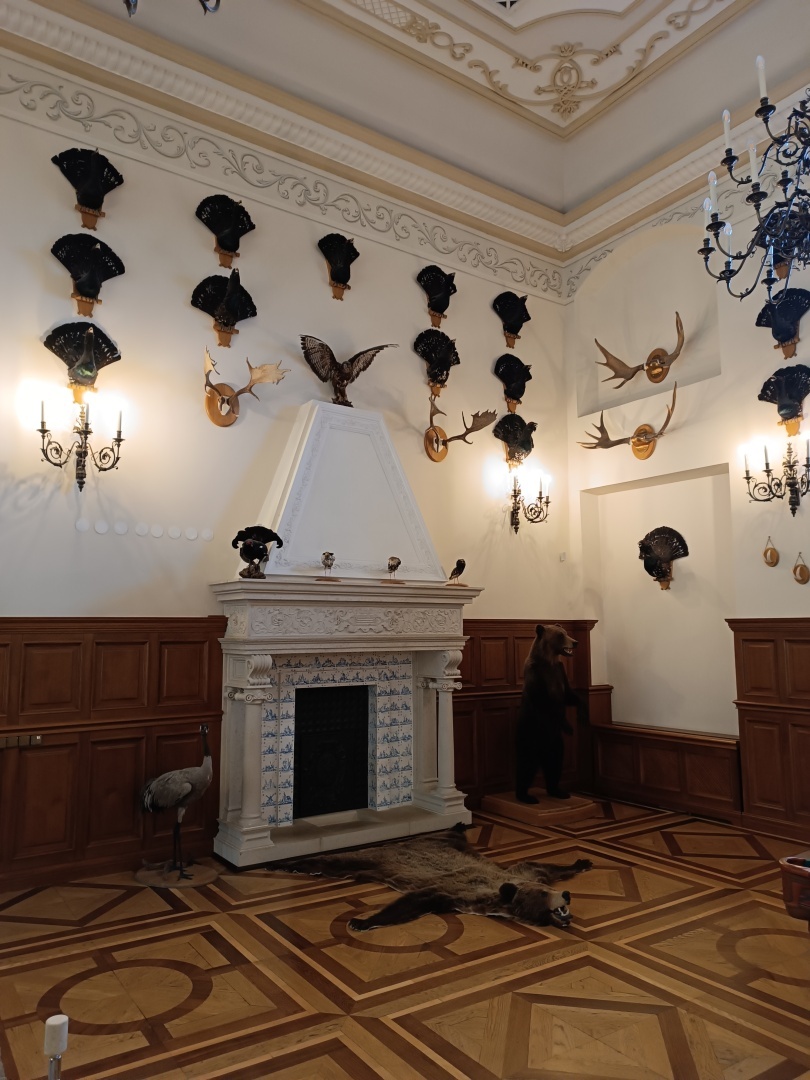 Мирский (рыцарский) и Несвижский замки, которыми владели Радзевиллы в XVI-XVIII веках. Мой третий культурный день в Беларуси. Часть 2