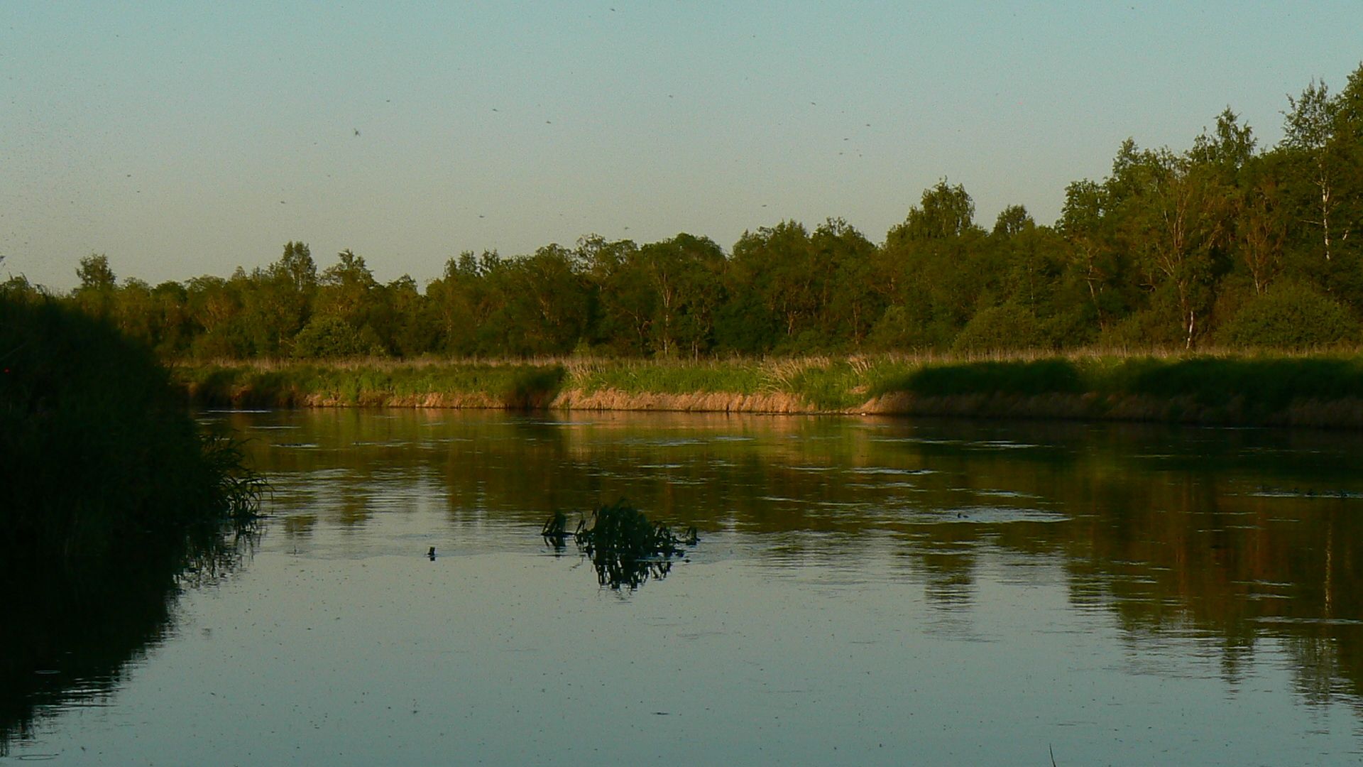 Бесплатная любовь./Вне конкурса/ Из серии "Ленинский зачёт"/