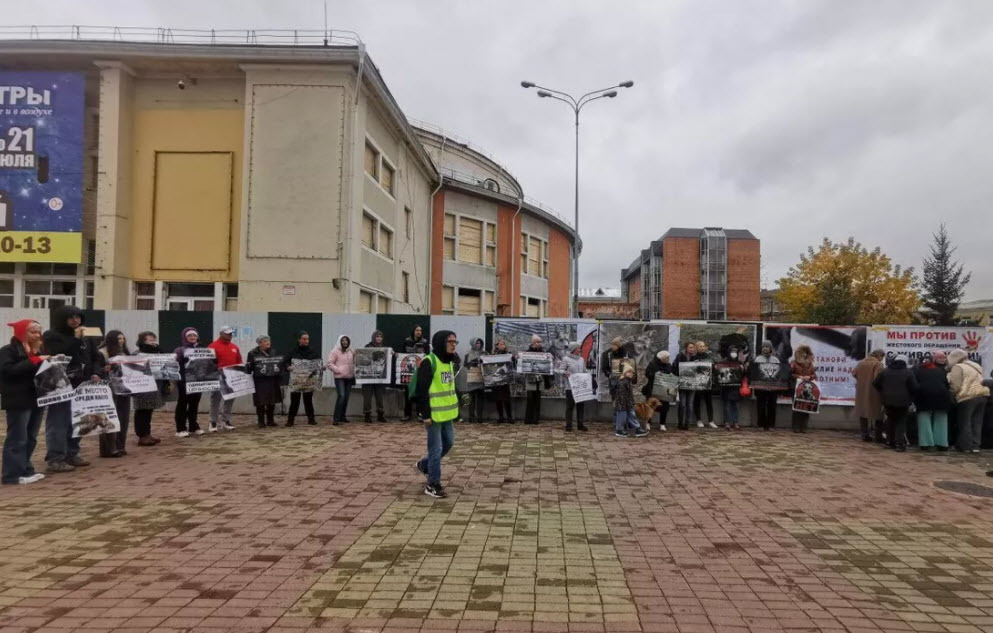 Чудовищная жестокость подростков в Иркутской области. Что им грозит?