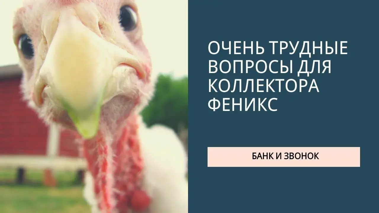 Им про Фому они про Ерему