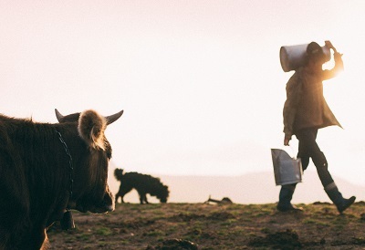 Умотал с места ДТП с самим собой