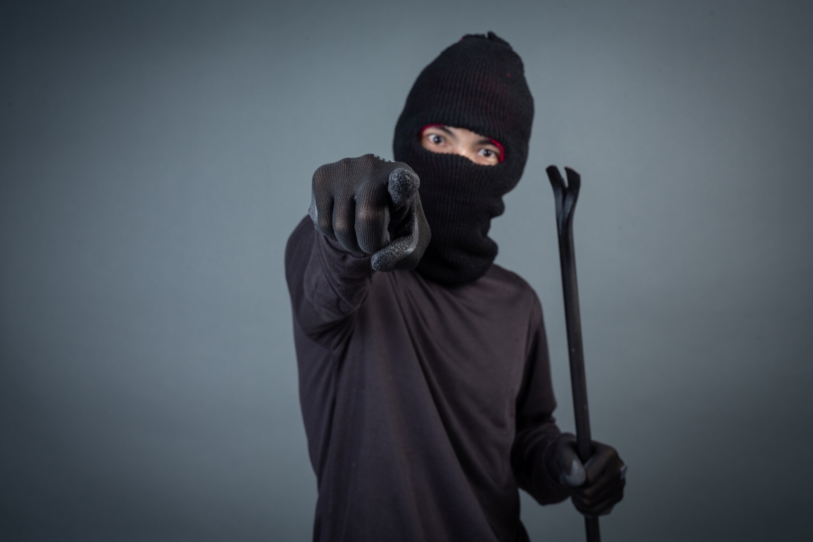 Хорошая новость похищенных кенгурят нашли. Плохая, выжили не все