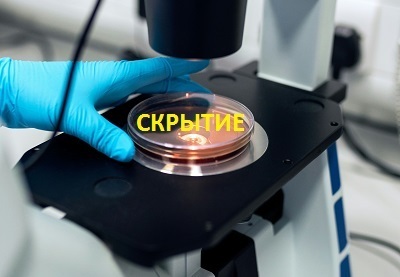 Малюсенькое скрытие с места ДТП