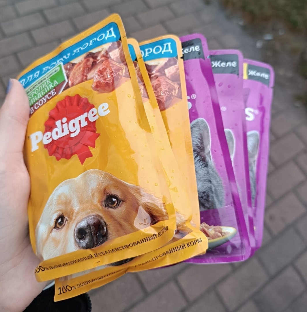 Что я сделала для заработка и экономии денег сегодня? Часть 21.