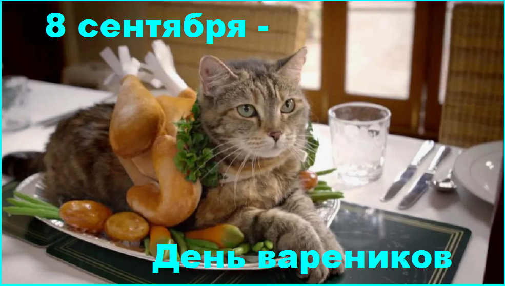 🐾Котопозитивчик в День ВВО🤗