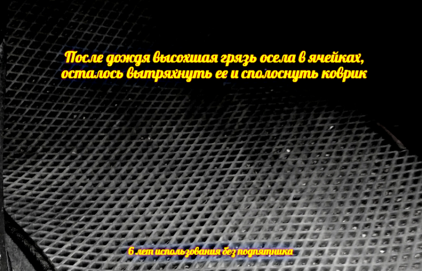 Соты и ячейки в коврике Eva для авто: сухо и чисто до сих пор. Мой честный отзыв после нескольких лет использования