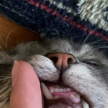 DarinaSky, г. Воронеж