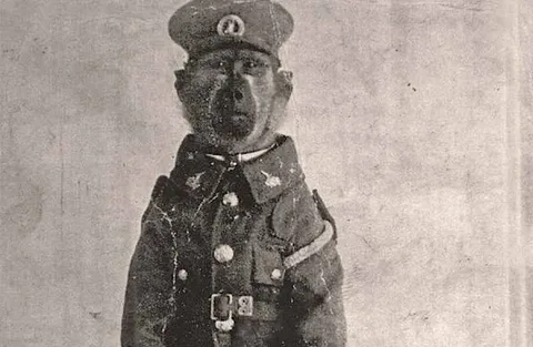 Обезьяна-герой Первой мировой войны. Уникальная история.