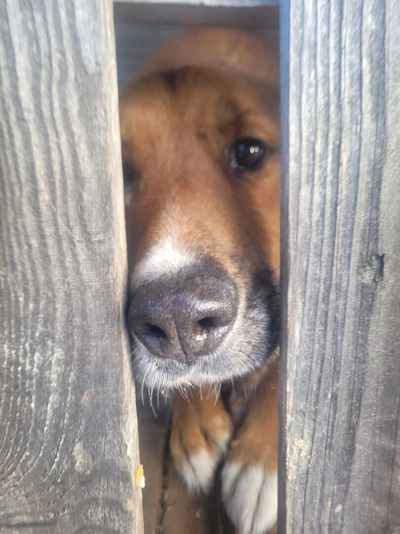 А високосный год 2024 всё не уходит