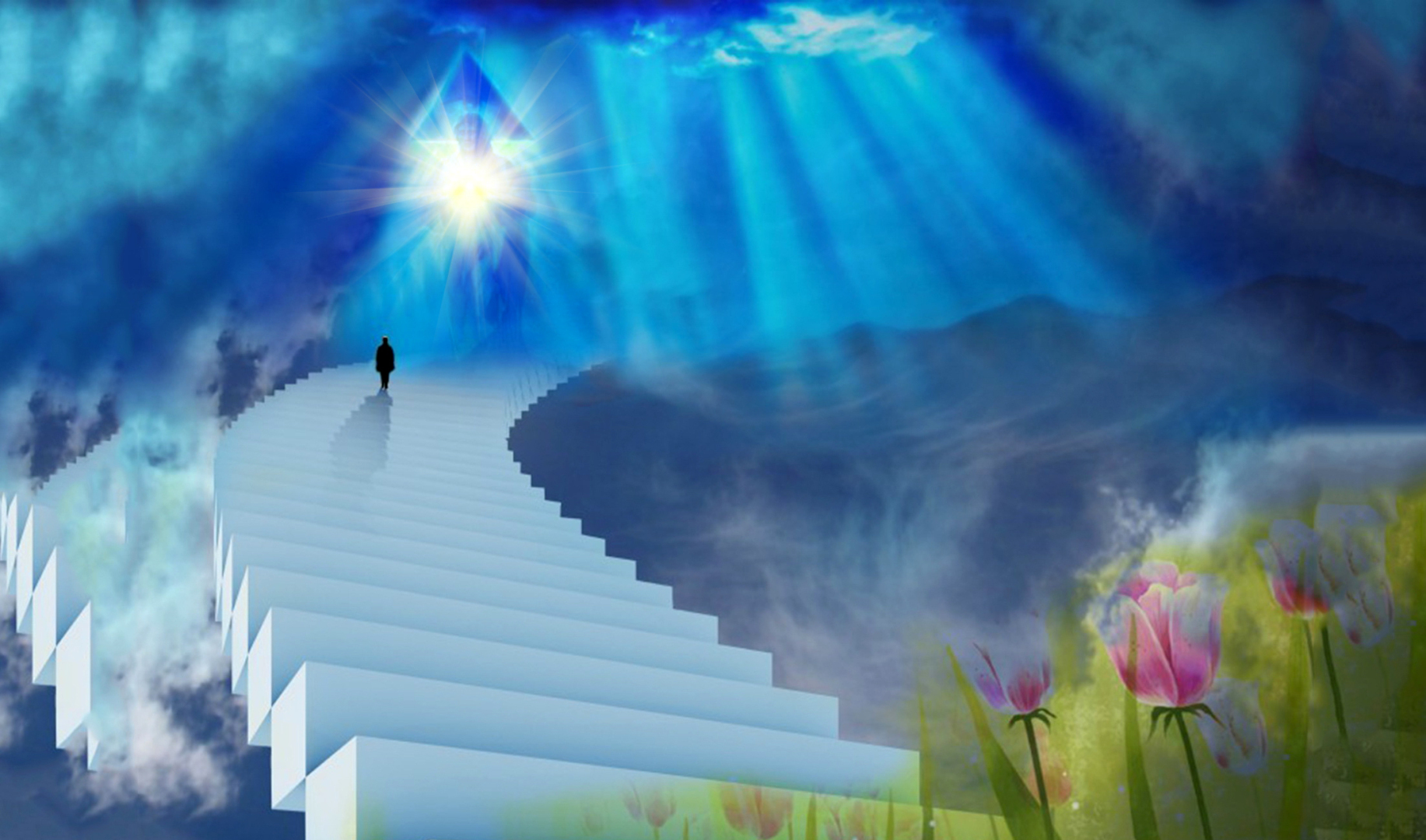 Зачем мы живём, если всё равно исчезнем с лица земли - умрём!?